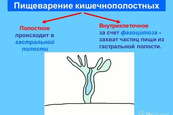 Кракен зеркало рабочее на сегодня
