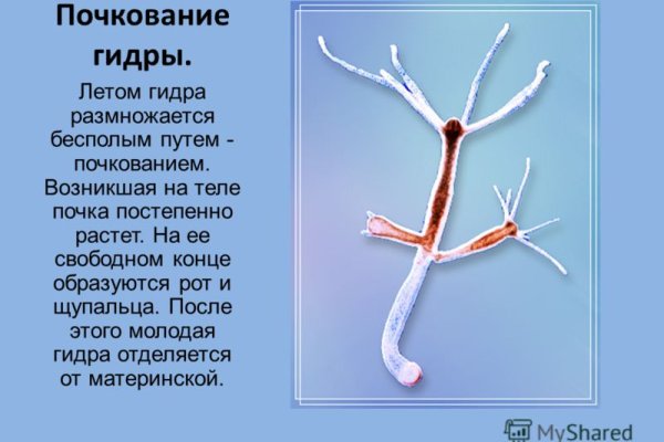 Кракен маркетплейс kr2web in площадка
