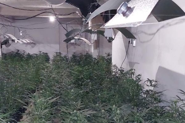 Актуальное зеркало на кракен