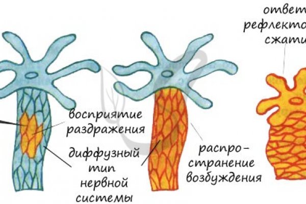 Kra41.at