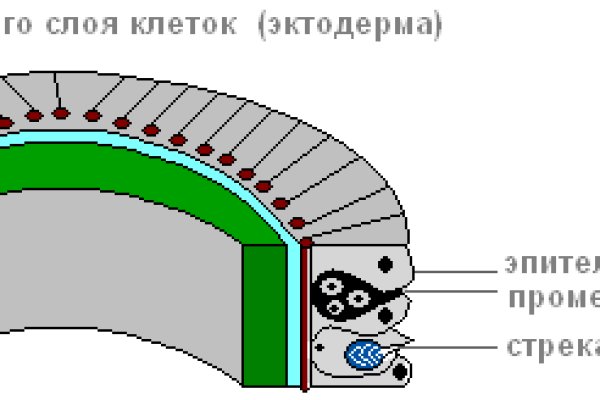 Зайти на сайт кракен