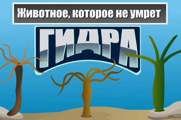 Кракен ссылка на сайт krk store com