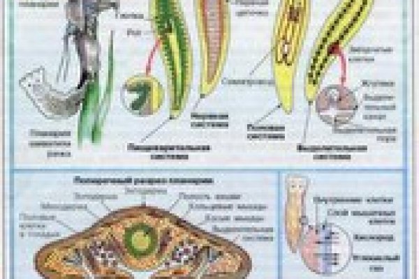 Кракен зеркало рабочее на сегодня