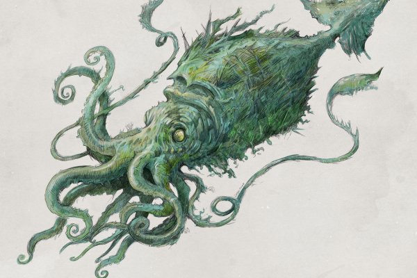 Kraken dark net