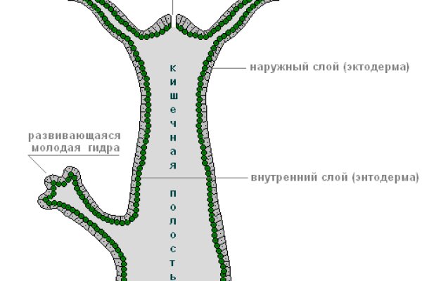 Через какой браузер заходить на кракен